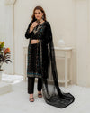 Aleena - 3 Piece Embroidered Dress